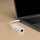 D-Link DUB-E130 USB Type-C to Gigabit Ethernet Adapter