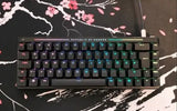 ASUS ROG FALCHION ACE HFX MAGNETIC SWITCH KEYBOARD BLK