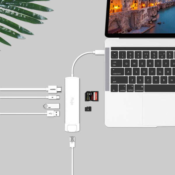 Flujo CH-55 Flujo CH-55 USB C to Multi-Function Adapter (Silver) Type C Silver